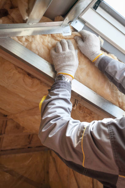 Best Geographic-Specific Insulation Services in Darlington, WI