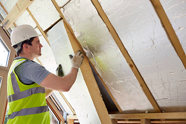 Best Insulation Maintenance and Repair in Darlington, WI